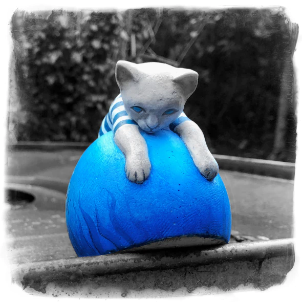 cat-on-blue-ball-3