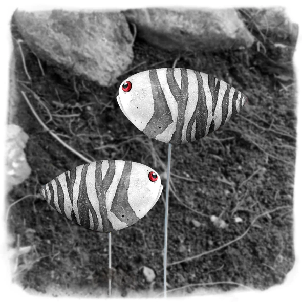 teardrop--garden-fish-basic